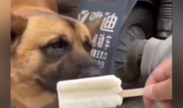 搞笑视频大全,让你笑到肚子疼